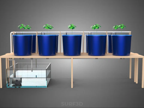 DIY GREENHOUSE BATO DUTCH BUCKET HYDROPONIC SYSTEM PLANT ARRAY 3D Model