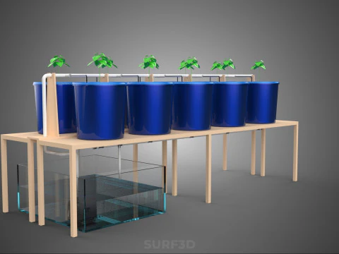 DIY GREENHOUSE BATO DUTCH BUCKET HYDROPONIC SYSTEM PLANT ARRAY 3D Model