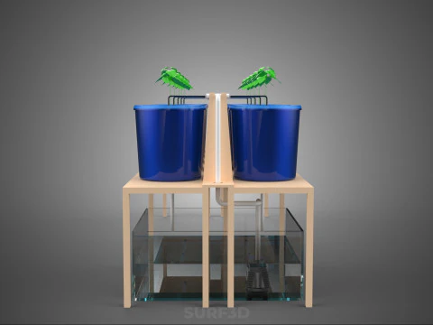 DIY GREENHOUSE BATO DUTCH BUCKET HYDROPONIC SYSTEM PLANT ARRAY 3D Model