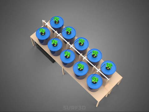 DIY GREENHOUSE BATO DUTCH BUCKET HYDROPONIC SYSTEM PLANT ARRAY 3D Model