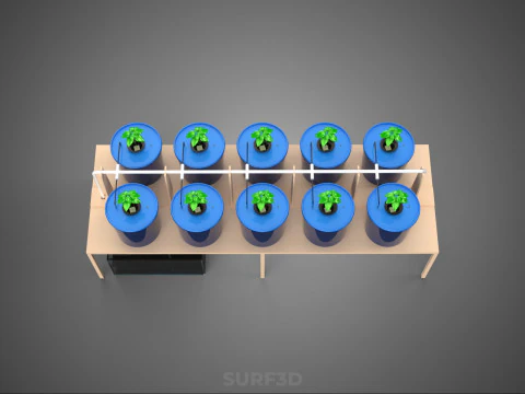 DIY GREENHOUSE BATO DUTCH BUCKET HYDROPONIC SYSTEM PLANT ARRAY 3D Model