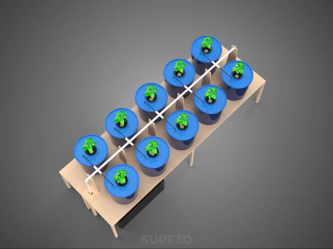 DIY GREENHOUSE BATO DUTCH BUCKET HYDROPONIC SYSTEM PLANT ARRAY 3D Model