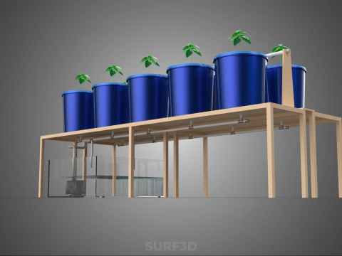 DIY GREENHOUSE BATO DUTCH BUCKET HYDROPONIC SYSTEM PLANT ARRAY 3D Model
