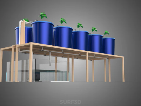 DIY GREENHOUSE BATO DUTCH BUCKET HYDROPONIC SYSTEM PLANT ARRAY 3D Model