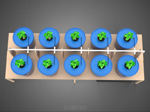DIY GREENHOUSE BATO DUTCH BUCKET HYDROPONIC SYSTEM PLANT ARRAY 3D Model