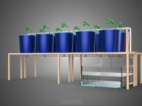 DIY GREENHOUSE BATO DUTCH BUCKET HYDROPONIC SYSTEM PLANT ARRAY 3D Model