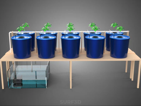 DIY GREENHOUSE BATO DUTCH BUCKET HYDROPONIC SYSTEM PLANT ARRAY 3D Model