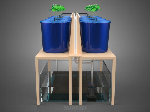 DIY GREENHOUSE BATO DUTCH BUCKET HYDROPONIC SYSTEM PLANT ARRAY 3D Model