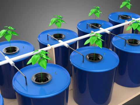 DIY GREENHOUSE BATO DUTCH BUCKET HYDROPONIC SYSTEM PLANT ARRAY 3D Model