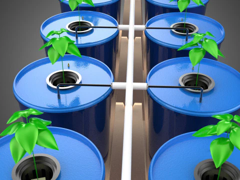 DIY GREENHOUSE BATO DUTCH BUCKET HYDROPONIC SYSTEM PLANT ARRAY 3D Model