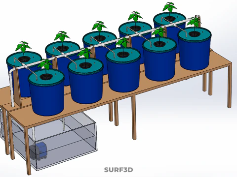 DIY GREENHOUSE BATO DUTCH BUCKET HYDROPONIC SYSTEM PLANT ARRAY 3D Model