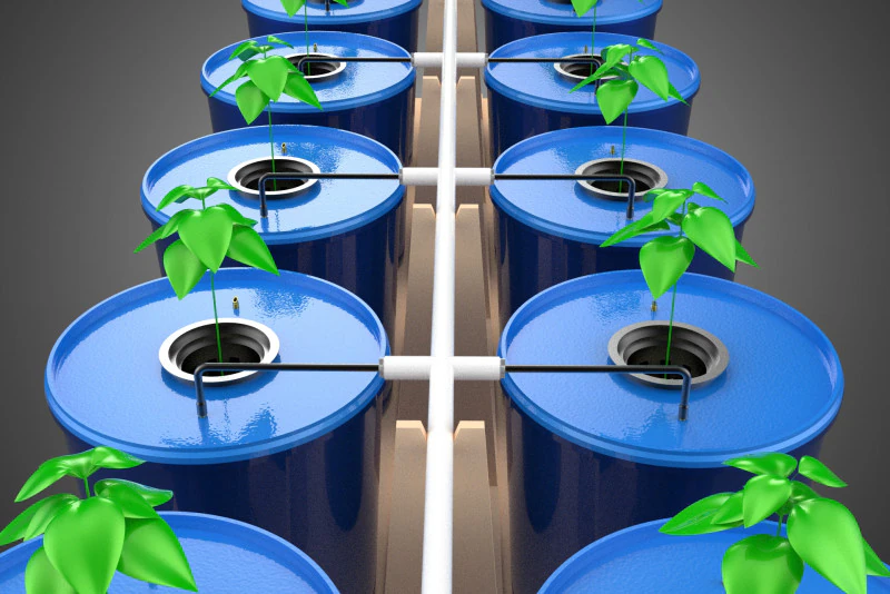 ВЫРАЩИВАНИЕ БАТО ФРУКТЫ ОВОЩИ РАСТЕНИЯ ГИДРОПОННАЯ ФЕРМА САД 3D Модель .c4d .max .obj .3ds .fbx .stl .blend