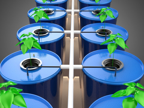 BATO-ANBAU OBST GEMÜSE PFLANZE HYDROPONIK BAUERNHOF GARTEN 3D Modell