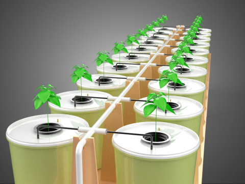 डच बकेट प्लांट सब्जी फल हाइड्रोपोनिक फार्म खेती 3D मॉडल