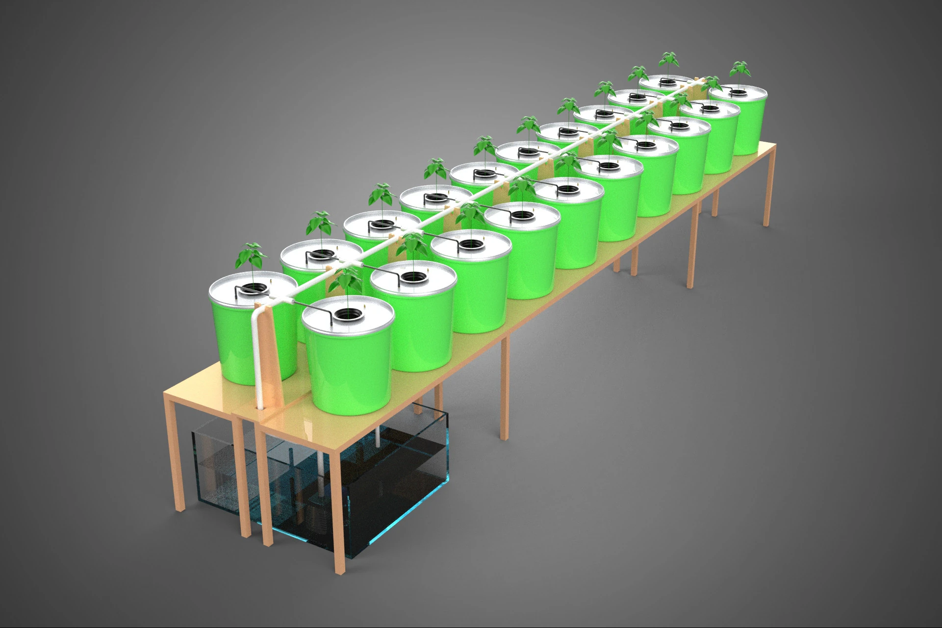 2 ROW DUTCH BUCKET SYSTEM BATO HYDROPONIC RECIRCULATING 16 PLANT 3D Model .c4d .max .obj .3ds .fbx .stl .blend 