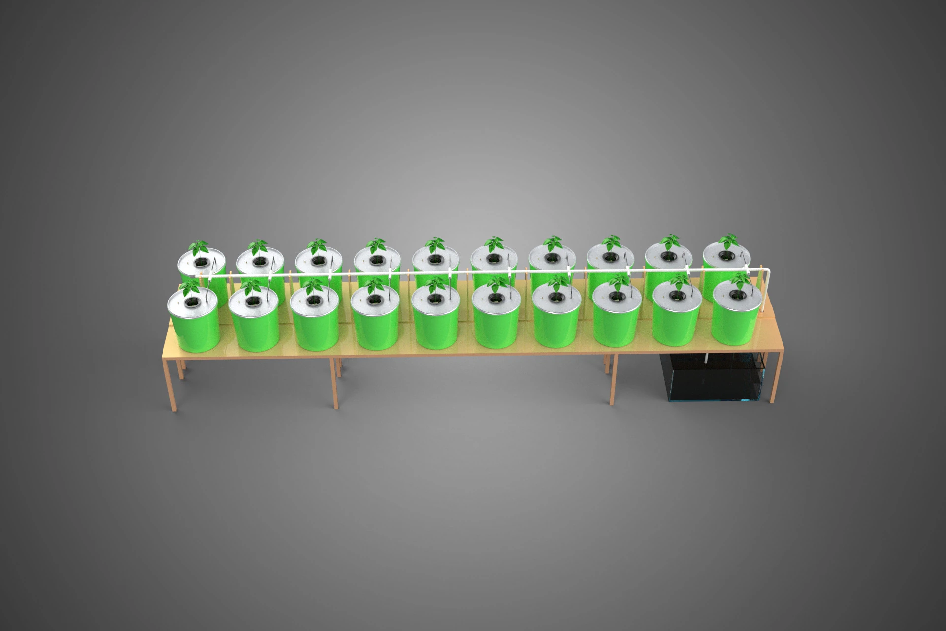 DIY DUTCH BUCKET HYDROPONIC SYSTEM SETUP GREENHOUSE BATO GARDEN 3D Model .c4d .max .obj .3ds .fbx .stl .blend