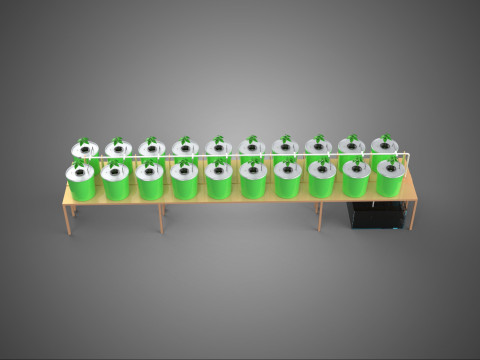 DIY DUTCH BUCKET HYDROPONIC SYSTEM SETUP GREENHOUSE BATO GARDEN 3D Model