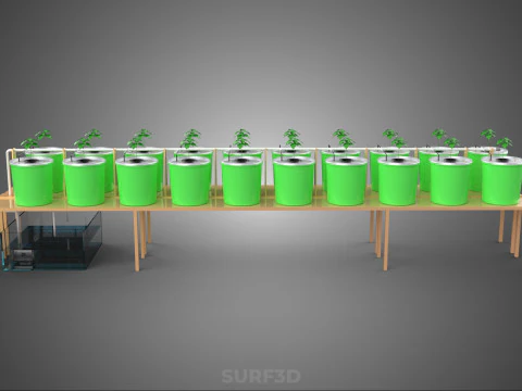 DIY DUTCH BUCKET HYDROPONIC SYSTEM SETUP GREENHOUSE BATO GARDEN 3D Model