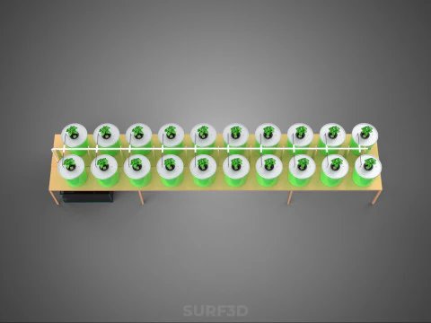 DIY DUTCH BUCKET HYDROPONIC SYSTEM SETUP GREENHOUSE BATO GARDEN 3D Model