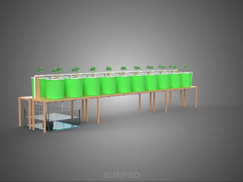 DIY DUTCH BUCKET HYDROPONIC SYSTEM SETUP GREENHOUSE BATO GARDEN 3D Model