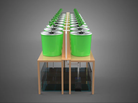 DIY DUTCH BUCKET HYDROPONIC SYSTEM SETUP GREENHOUSE BATO GARDEN 3D Model