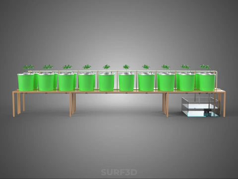 DIY DUTCH BUCKET HYDROPONIC SYSTEM SETUP GREENHOUSE BATO GARDEN 3D Model