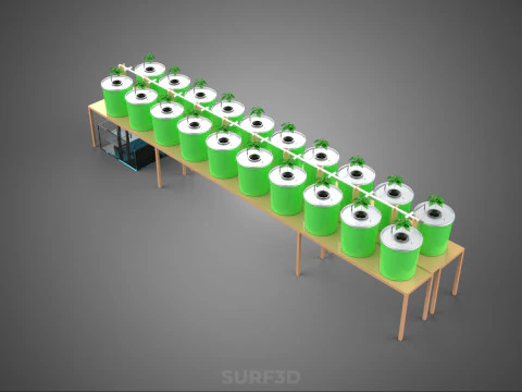 DIY DUTCH BUCKET HYDROPONIC SYSTEM SETUP GREENHOUSE BATO GARDEN 3D Model