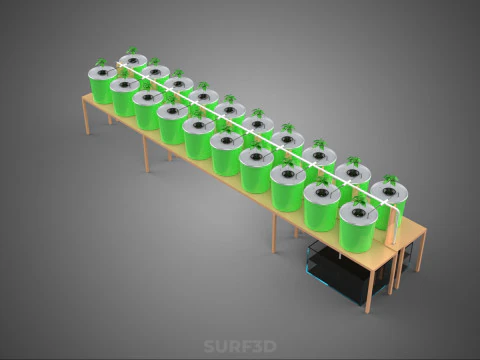 DIY DUTCH BUCKET HYDROPONIC SYSTEM SETUP GREENHOUSE BATO GARDEN 3D Model