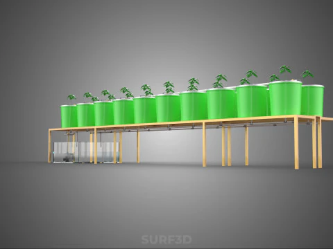DIY DUTCH BUCKET HYDROPONIC SYSTEM SETUP GREENHOUSE BATO GARDEN 3D Model