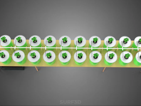 DIY DUTCH BUCKET HYDROPONIC SYSTEM SETUP GREENHOUSE BATO GARDEN 3D Model