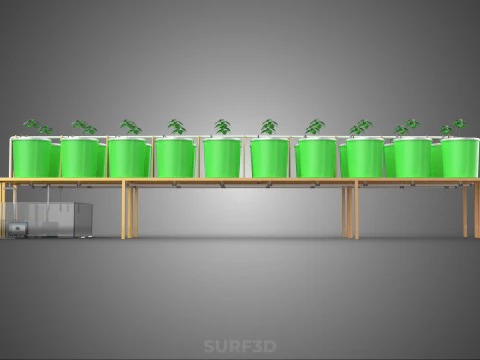 DIY DUTCH BUCKET HYDROPONIC SYSTEM SETUP GREENHOUSE BATO GARDEN 3D Model