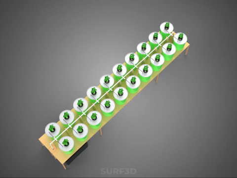 DIY DUTCH BUCKET HYDROPONIC SYSTEM SETUP GREENHOUSE BATO GARDEN 3D Model