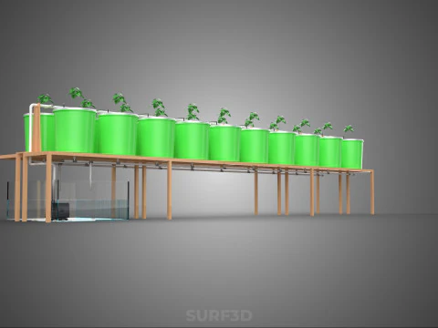 DIY DUTCH BUCKET HYDROPONIC SYSTEM SETUP GREENHOUSE BATO GARDEN 3D Model
