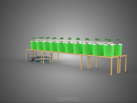 DIY DUTCH BUCKET HYDROPONIC SYSTEM SETUP GREENHOUSE BATO GARDEN 3D Model