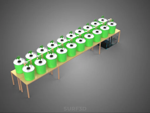 DIY DUTCH BUCKET HYDROPONIC SYSTEM SETUP GREENHOUSE BATO GARDEN 3D Model