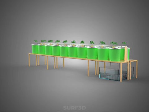 DIY DUTCH BUCKET HYDROPONIC SYSTEM SETUP GREENHOUSE BATO GARDEN 3D Model