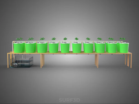 DIY DUTCH BUCKET HYDROPONIC SYSTEM SETUP GREENHOUSE BATO GARDEN 3D Model