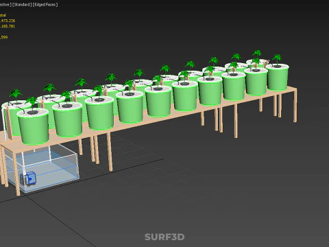 DIY DUTCH BUCKET HYDROPONIC SYSTEM SETUP GREENHOUSE BATO GARDEN 3D Model