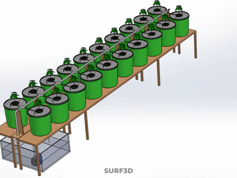 DIY DUTCH BUCKET HYDROPONIC SYSTEM SETUP GREENHOUSE BATO GARDEN 3D Model