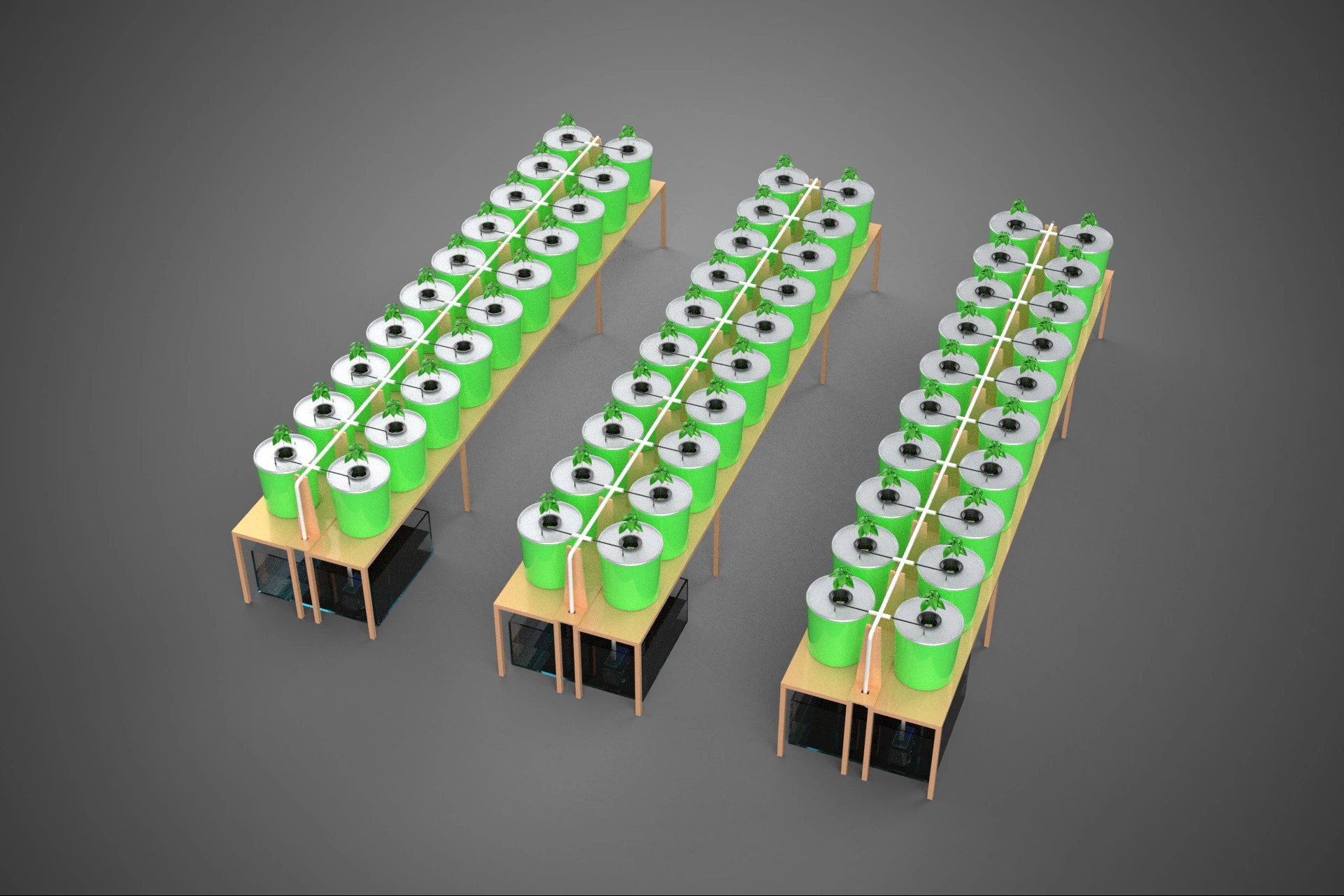 LAYOUT PARALLEL ARRAY ROW INDOOR DUTCH BUCKET HYDROPONIC SYSTEM 3D Model .c4d .max .obj .3ds .fbx .stl .blend 