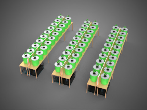 LAYOUT PARALLEL ARRAY ROW INDOOR DUTCH BUCKET HYDROPONIC SYSTEM 3D Model