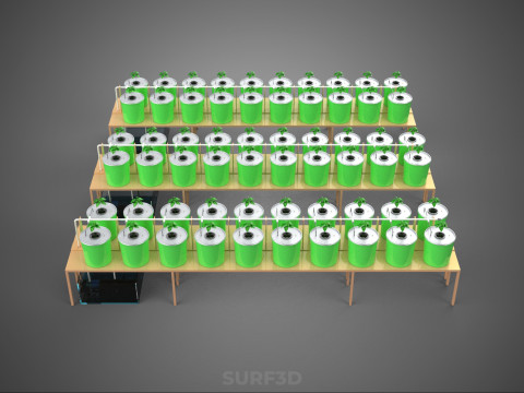 LAYOUT PARALLEL ARRAY ROW SISTEM HIDROPONIK BUCKET BELANDA INDOOR Model 3D