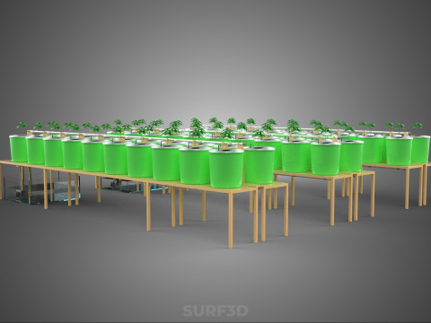 LAYOUT PARALLEL ARRAY ROW SISTEM HIDROPONIK BUCKET BELANDA INDOOR Model 3D