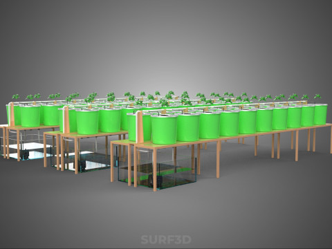 LAYOUT PARALLEL ARRAY ROW SISTEM HIDROPONIK BUCKET BELANDA INDOOR Model 3D