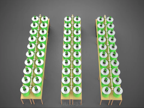LAYOUT PARALLEL ARRAY ROW INDOOR DUTCH BUCKET HYDROPONIC SYSTEM 3D Model