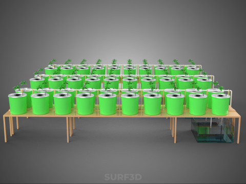 LAYOUT PARALLEL ARRAY ROW SISTEM HIDROPONIK BUCKET BELANDA INDOOR Model 3D