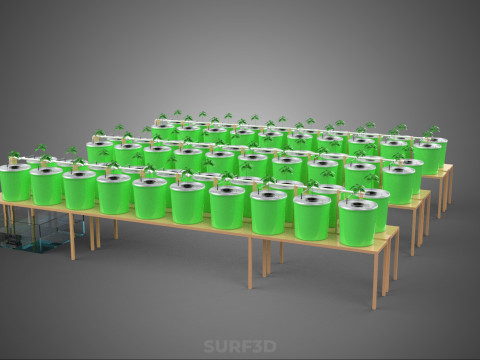 LAYOUT PARALLEL ARRAY ROW SISTEM HIDROPONIK BUCKET BELANDA INDOOR Model 3D