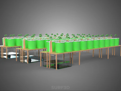 BATO DUTCH BUCKET HYDROPONIC SYSTEM POT FARM ARRANGEMENT STATION 3D Model