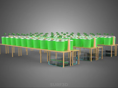 BATO DUTCH BUCKET HYDROPONIC SYSTEM POT FARM ARRANGEMENT STATION 3D Model