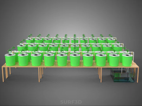 BATO DUTCH BUCKET HYDROPONIC SYSTEM POT FARM ARRANGEMENT STATION 3D Model